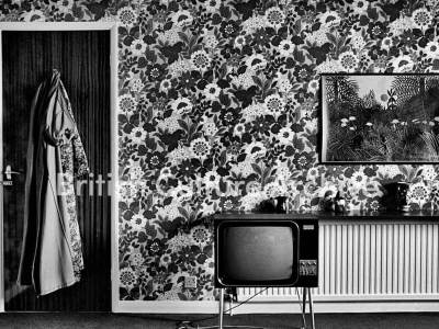 1970s Decor, Hull, 1976 by Luis Bustamante.