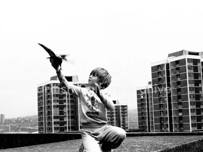Tish Murtha - Boy with Pigeon - Print